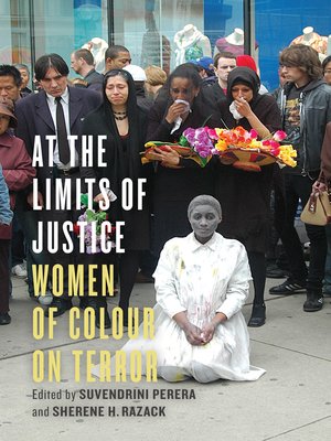 cover image of At the Limits of Justice